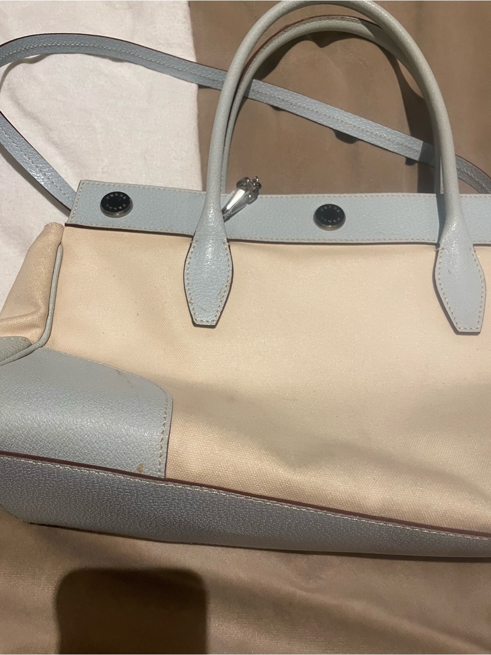 Cream Canvas Tote with Pale Blue Leather Trim - Women's Shoulder Bag